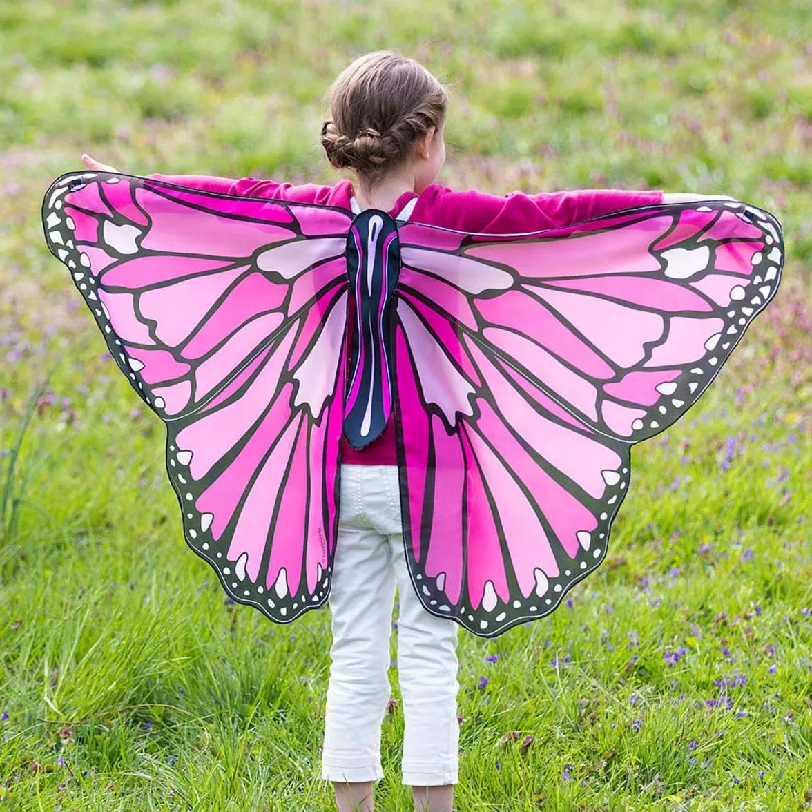 Colorful Butterfly Wings