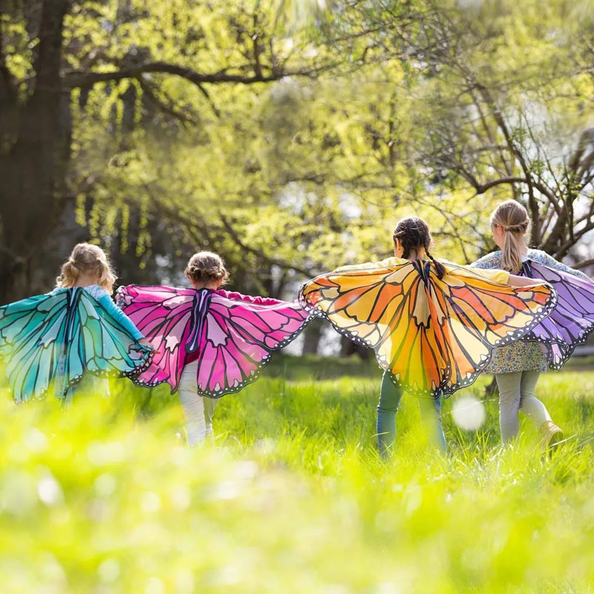 Colorful Butterfly Wings