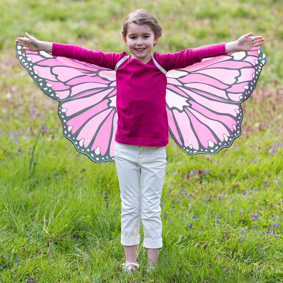 Colorful Butterfly Wings